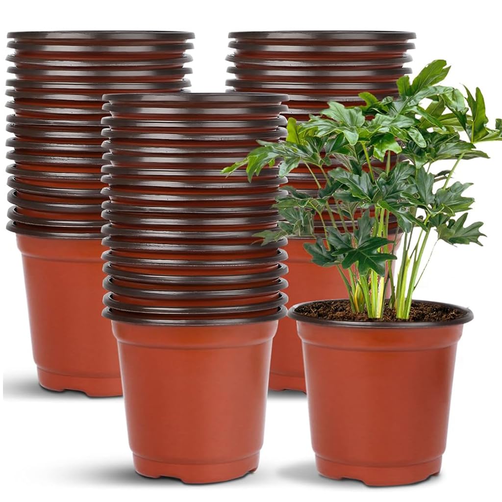 HASTHIP 4.72 Inches Flower Pot 50pcs Plant Pot with Draining Holes Seed Nurserying Pot Plastic Flower Pot Plant Pot HASTHIP 4.72 Inches Flower Pot 50pcs Plant Pot with Draining Holes Seed Nurserying Pot Plastic Flower Pot Plant Pot